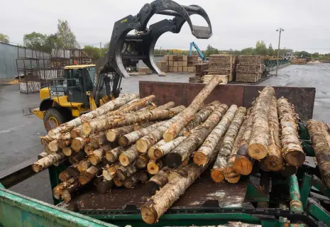 Сделки под деревом. Лесная отрасль ждет слияний и поглощений