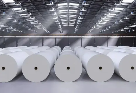 Бумажные перспективы. Лесопереработчики инвестируют в эффективность