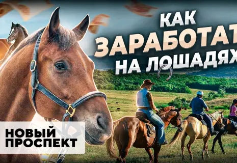 Как заработать на лошадях. Честный разбор бизнеса по созданию агрокомплекса
