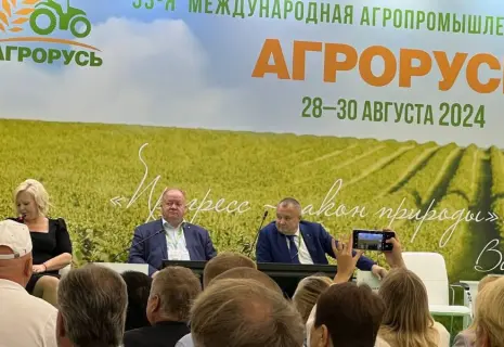 В Петербурге – кратный рост садоводств