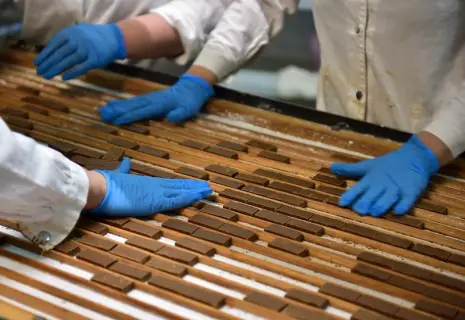 Ленобласть в шоколаде. Крупная кондитерская фабрика переезжает из Ростовской области под Лугу