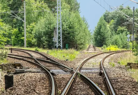 Неделимое общество