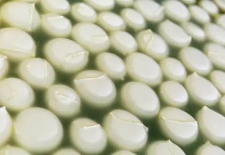 Италия в Пскове. «Интерпродукт» построит завод моцареллы