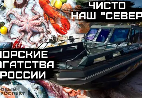 Новинки Рыбопромышленного форума — 2024 в Петербурге