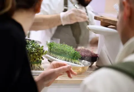 Гибкий ЗОЖ. Как меняется меню ресторанов под нужды нового поколения