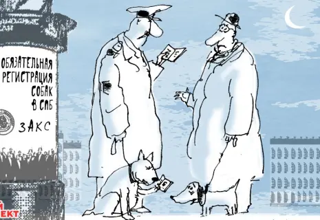 Среда Виктора Богорада. О собачьей жизни