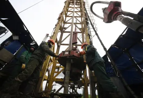 Бизнес-леди из Ленобласти купила доли в геологоразведочном бизнесе с оборотом в 2 млрд рублей