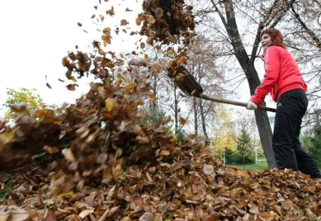 В Петербурге проходит общегородской субботник