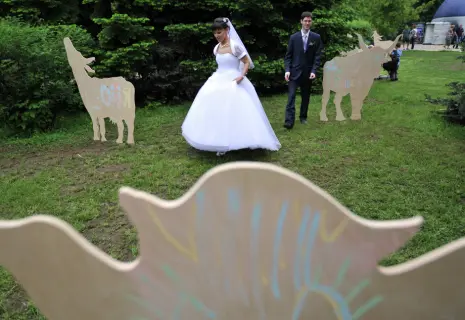 В Ленобласти резко поднимают пошлины на развод