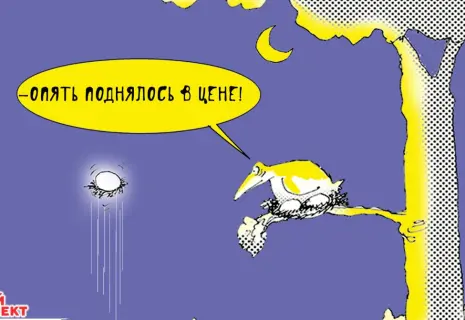 Среда Виктора Богорада. О золотых яйцах