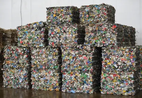 Проект мусорного завода в Ленобласти получил одобрение Главгосэкспертизы