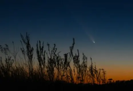 Корабль Crew Dragon с российским космонавтом благополучно вернулся на Землю