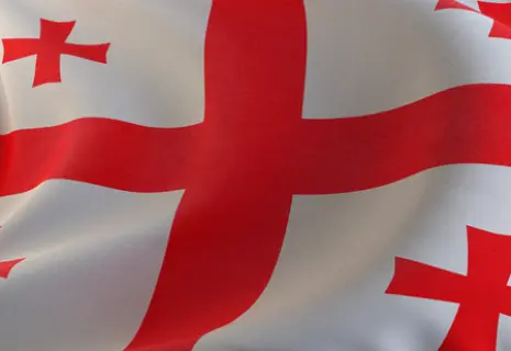 На парламентских выборах в Грузии победу одержала партия власти