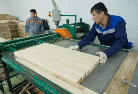 Плата за переработку. Лесопромышленники запускают новые проекты