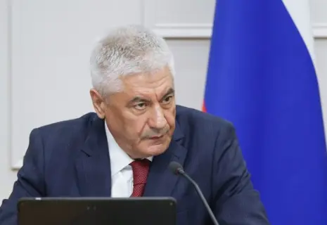 В этом году число нелегальных мигрантов в России увеличилось на 40%