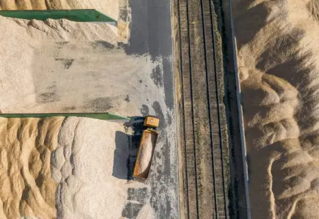 Сделали ставку на целлюлозу. Вологодские лесопромышленники задумались о диверсификации бизнеса