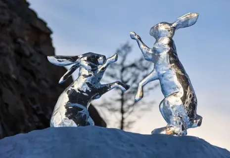 В Петербурге появится арт-пространство с ледовыми скульптурами