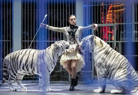 Итоги 2024 года. Зрелища были и будут