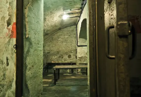 За бомбоубежище — до Верховного. Как петербургский бизнес отстаивает интересы государства