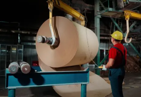 Упаковали бизнес. Окуловская бумажная фабрика стала частью компании «Каппа Рус»