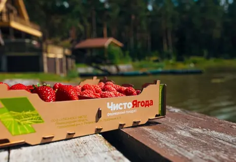 «Ягода» поглотила «Утконоса». В Ленобласти продали активы одной из крупнейших ягодных ферм 