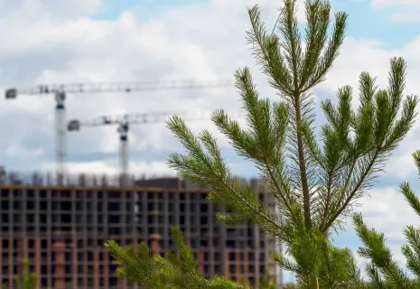 Не просто тренд. Как петербургские девелоперы работают с ESG-повесткой