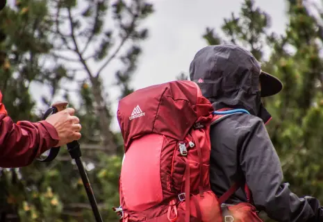 И лес цел, и гость доволен. Как принимают туристов в природных заповедниках