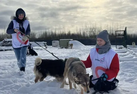 Волонтёры клуба "Добрый Setl" помогли зооприютам Петербурга и Ленобласти