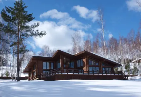 Дерево в фонде. Производитель деревянных домов готовится к продаже