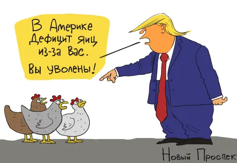 Художник «Нового проспекта» о политике и яйцах