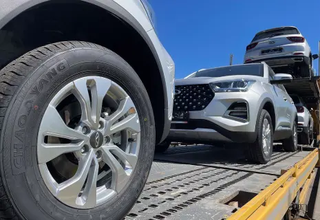 Выживших трудно удивить