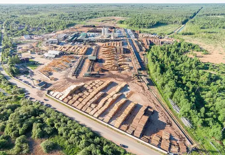 Деньги на дереве. «Вологодские лесопромышленники» подхватили бизнес австрийцев