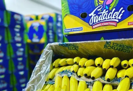 Не поделили бананы. Эквадорский поставщик фруктов банкротит экс-партнера из Петербурга
