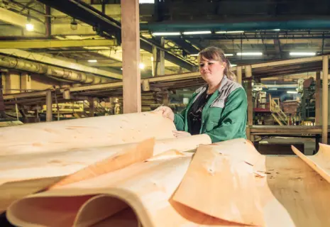 Фанерный передел. Производитель фанеры в составе United Panel Group может сменить владельца