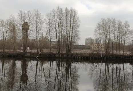 Распродажа гектарами. В Петербурге продадут три больших участка земли в границах КАД