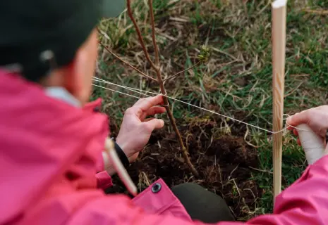 От бревна до комьюнити. Коллективная уборка территории уходит в прошлое