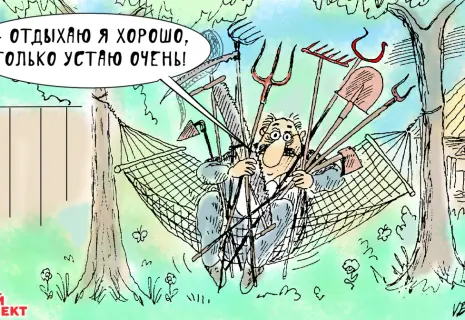 Среда Виктора Богорада. О дачном сезоне