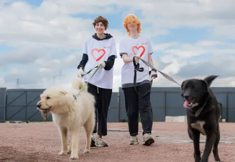 Волонтёры Setl Group помогли приюту для бездомных собак в Кудрово