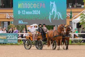 Владимирские тяжеловозы: исполины с добрым сердцем на «Иппосфере – 2025»