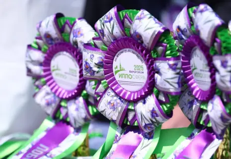 Россия в седле. Отечественные производители предлагают весь спектр конноспортивных товаров