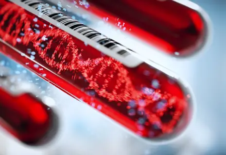 Погадать на генах. Зачем россияне проводят генетические тесты