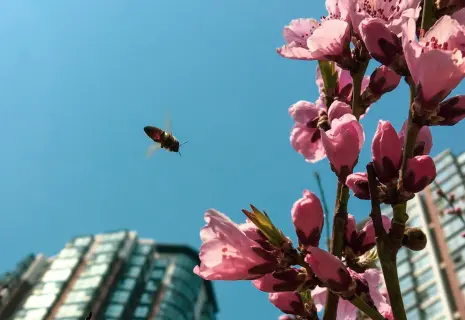 Когда в каждом чихе ценные данные