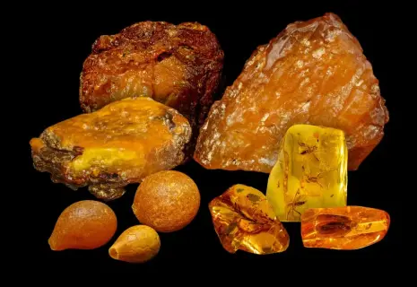 Единственный в мире аукцион уникального янтаря состоится 2 августа в Москве