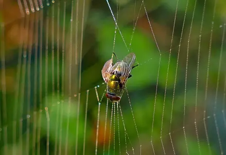 От Сети добра не ищут
