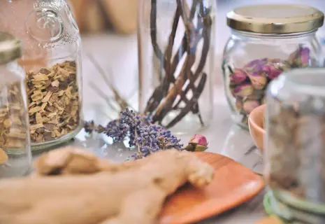 Как мята и ромашка становятся лекарством. От бабушкиного чая — к биореакторам и блокчейну