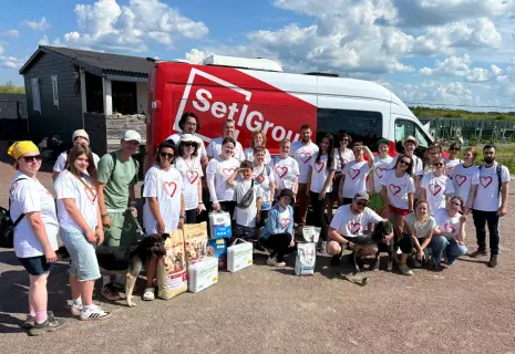 Волонтёры Setl Group собрали 200 кг помощи для животных из приютов Петербурга