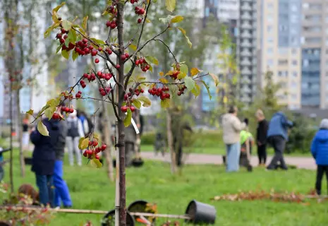 Волонтёры клуба «Добрый Setl» провели двухдневный экомарафон