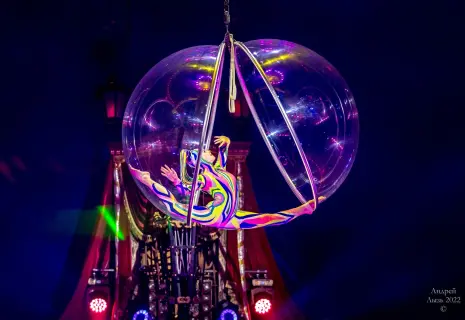 В Петербург едет «Цирк на воде» Андрея Шевченко