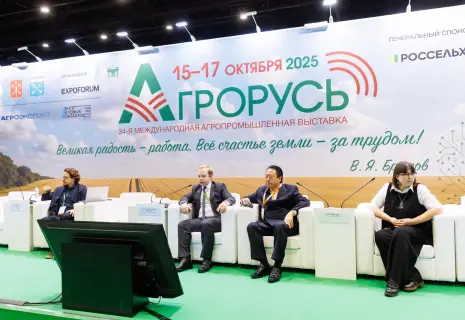 Россия наращивает экспорт аграрной продукции