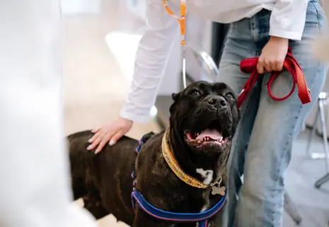 ESG в зообизнесе: объединение ради новых смыслов